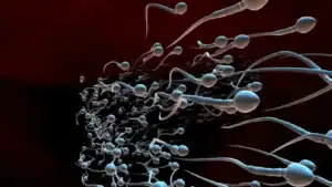 Healthy Sperm Happy Life