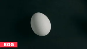 प्रोटीन
